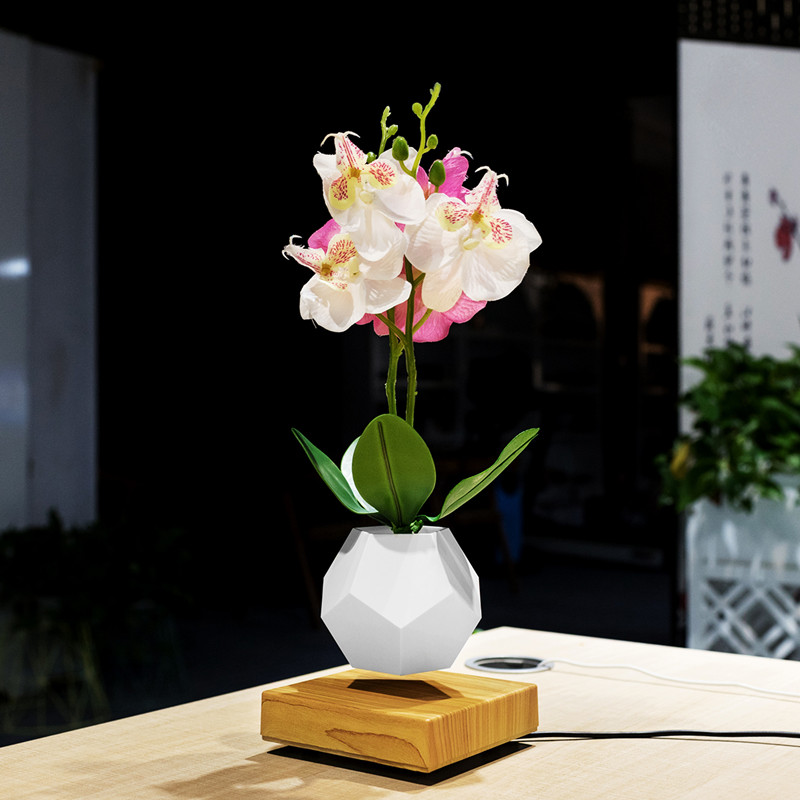 magnetische levitatie drijvende plant pot lucht bonsai PA-0708