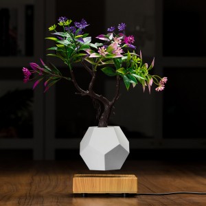 magnetische zwevende bonsai potplanters met zwevende bodemlucht PA-0708