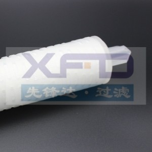 Geplooide filterpatroon --- RFG