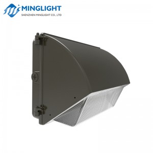 LED Wall Pack Light WPB2 80W