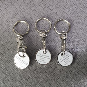 P019 munt sleutelhanger