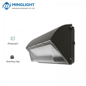 LED Wall Pack Light WPB2 120W