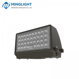 LED Wall Pack Light WPC2 80W