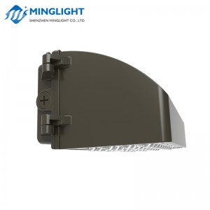 LED Wall Pack Light WPC2 100W