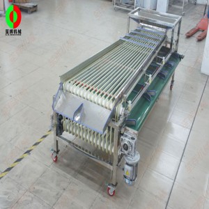 FJ-3000 fruit sorteerder