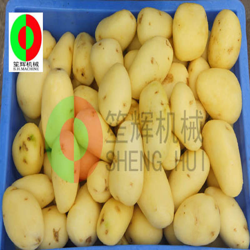 Meloen fruit reinigingsmachine / meloen fruit reinigingsmachine peeling / meloen fruit borstel reinigingsmachine QX-612 nieuw