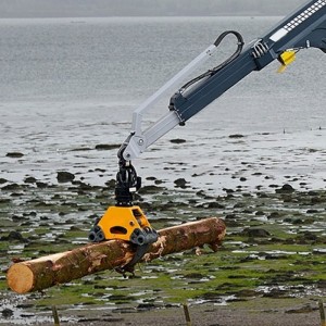 Portaalkraan voor houtbehandeling