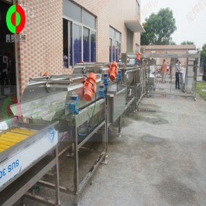 Grote productielijn voor het schillen en snijden van groenten en fruit