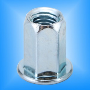 Platkop Full-Hex lichaam