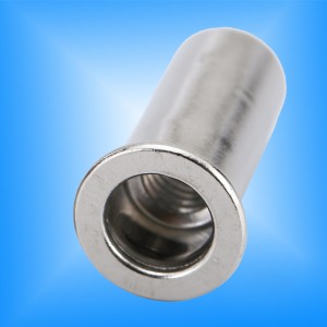 Plat hoofd rond lichaam dicht einde