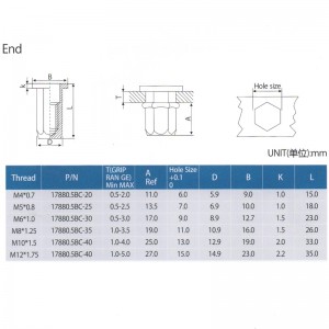 Vlakke kop, volledig zeskantig, dicht eind