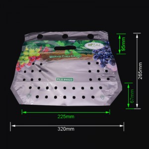 Eco-friend bedrukte plastic druiffruit ritssluiting verpakkingstas met ventilatieopeningen