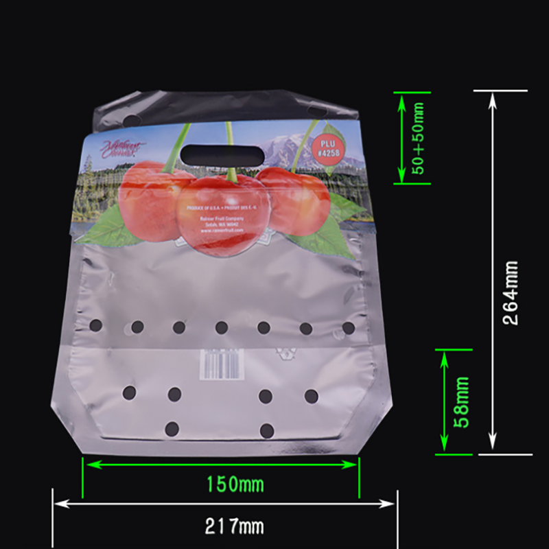 Eco-friend bedrukte plastic druiffruit ritssluiting verpakkingstas met ventilatieopeningen