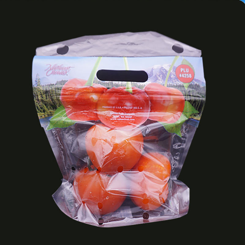 Eco-friend plastic groentetas met ritssluiting van plastic tomaten met plantaardige opening
