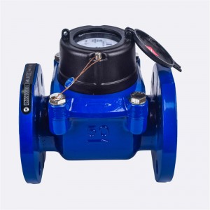 Afneembare horizontale Droge Woltman watermeter