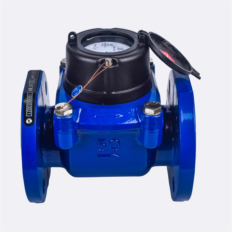 Afneembare horizontale Droge Woltman watermeter