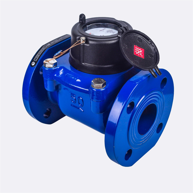 Afneembare horizontale Droge Woltman watermeter