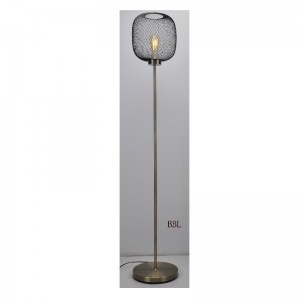 Moderne vloerlamp met gaaskap