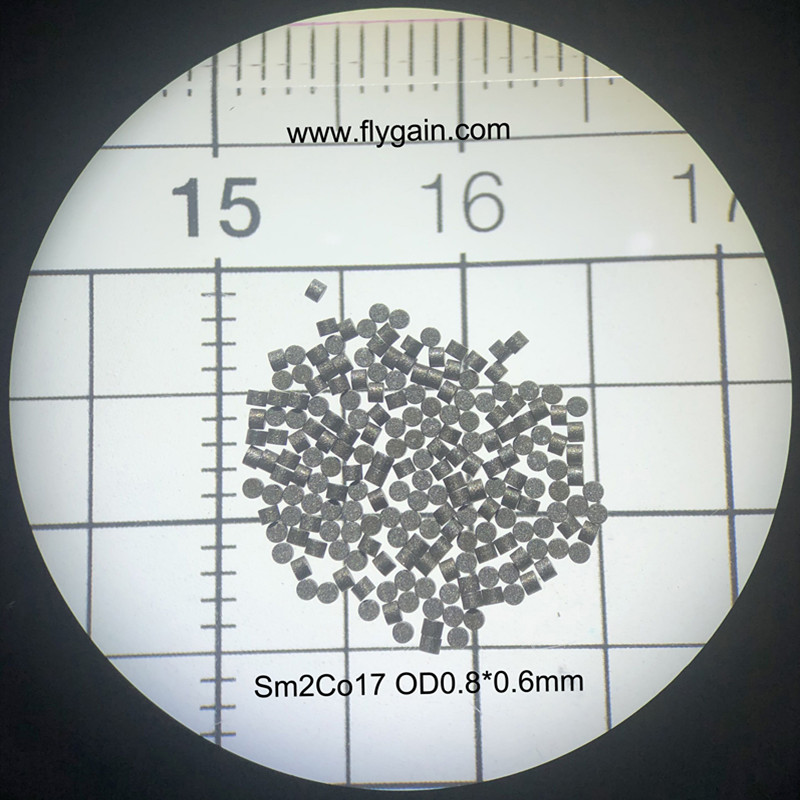 2019 China fabrikant Micro Precision Small SmCo-ringmagneet