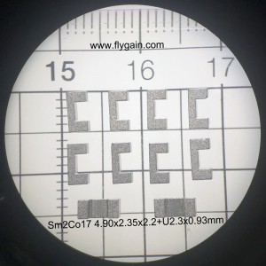 Chinese fabriek van hoge kwaliteit sterke micro precisie magneet