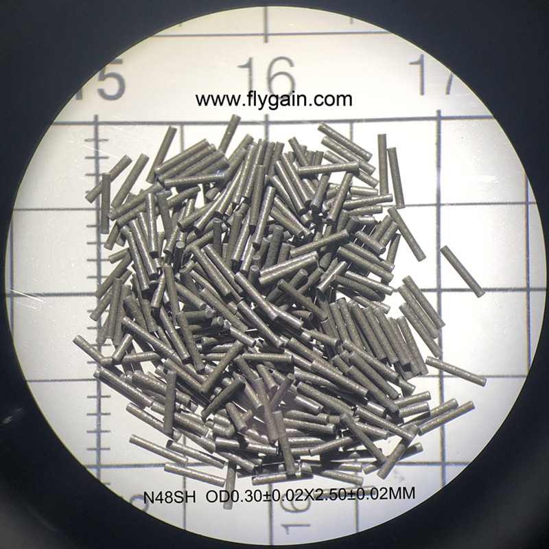 Sterke kleine micro-magneten van neodymium voor uurwerk
