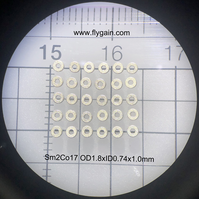 China fabrikant Micro Precision kleine magneet voor motor
