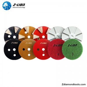 Z-LION 5 stappen steen droge polijsten ZL-FSP5