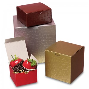 Gekleurde Alligator Tuck Top Box met reliëf