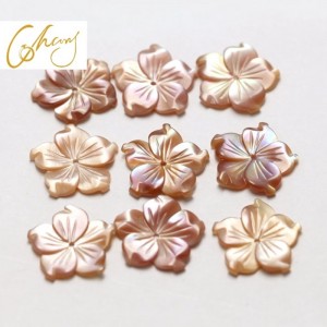 Parelmoer shell sieraden materiaal