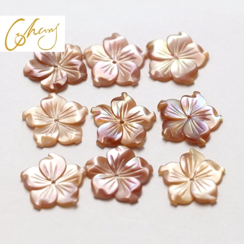 Parelmoer shell sieraden materiaal