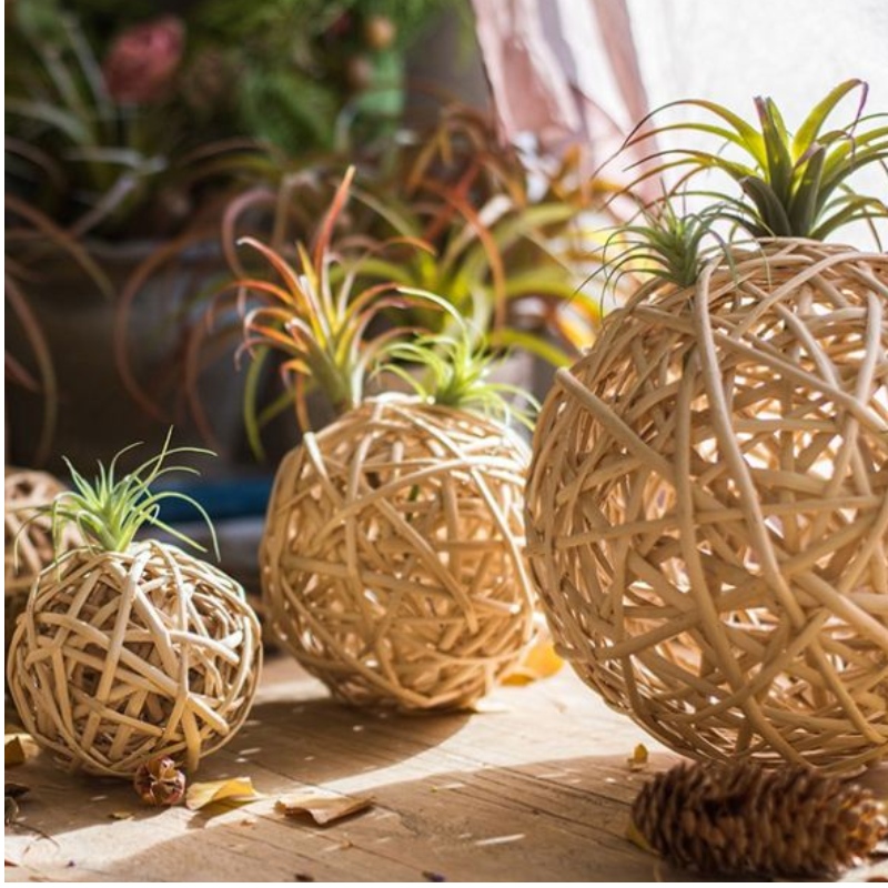 Mooie Artistieke Home Decoratie voor bruiloften en festivals