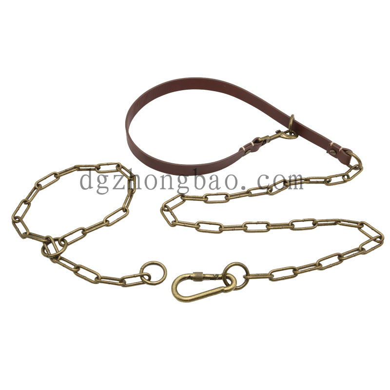 Halsband halsband met hardware ketting