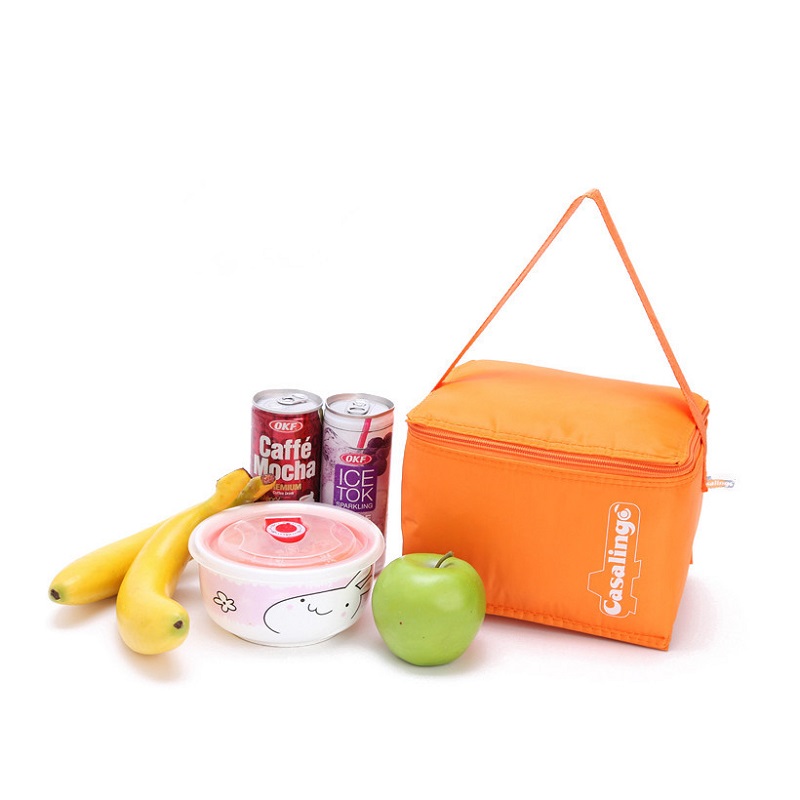 SGC24 Beste kwaliteit promotie Geïsoleerde ritssluiting Opvouwbare tas Lunch Bierkoeltas Mini-ijs koeltas