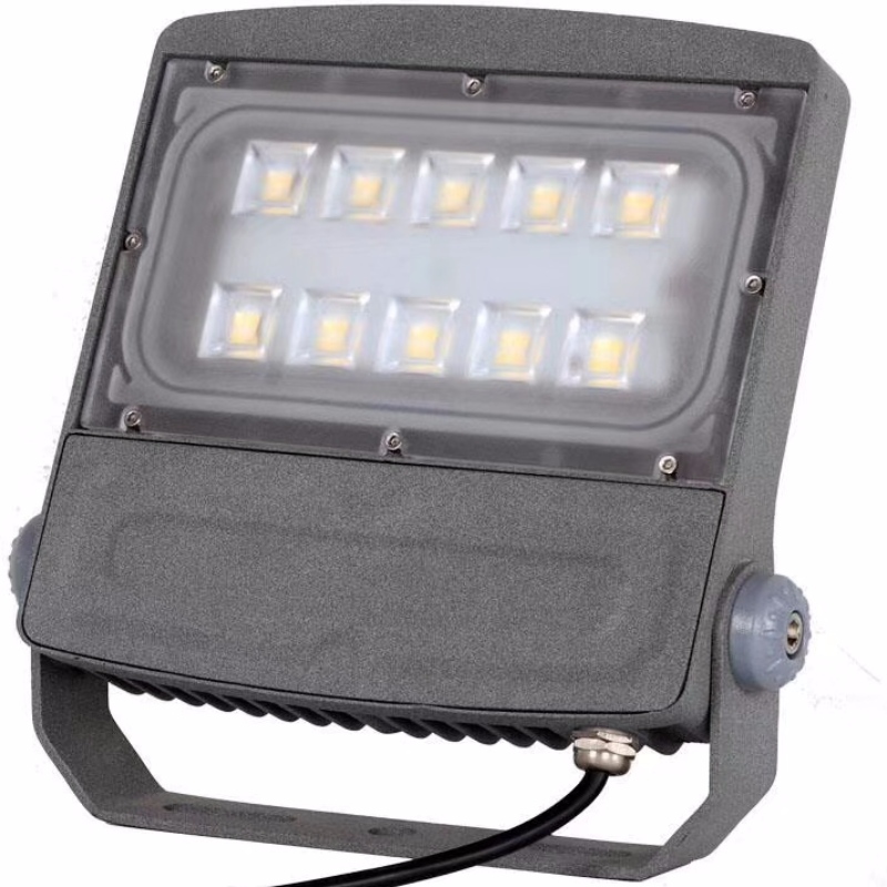 Hoge helderheid LED-module licht 30w 50w 100w 150w 200w