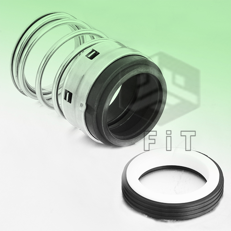 Elastomeer balg mechanische afdichtingen FT1B