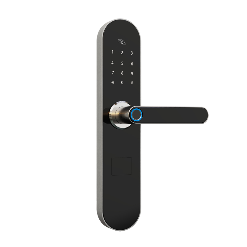 Groothandel vingerafdruk APP Smart Door Lock met wifi remote unlock en Unlock record query