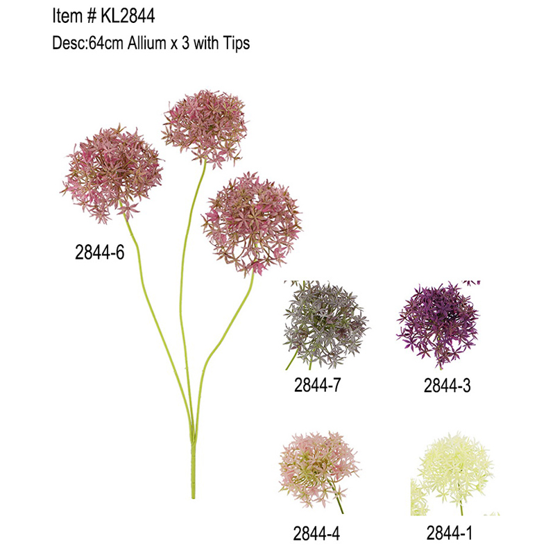 64cm Allium x 3 met Tips