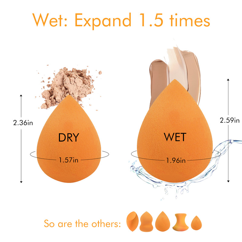 Makeup Sponge, BEALUXUR Foundation Sponge Makeup Foam Set met Multi Shape Sponzen (5 stuks)