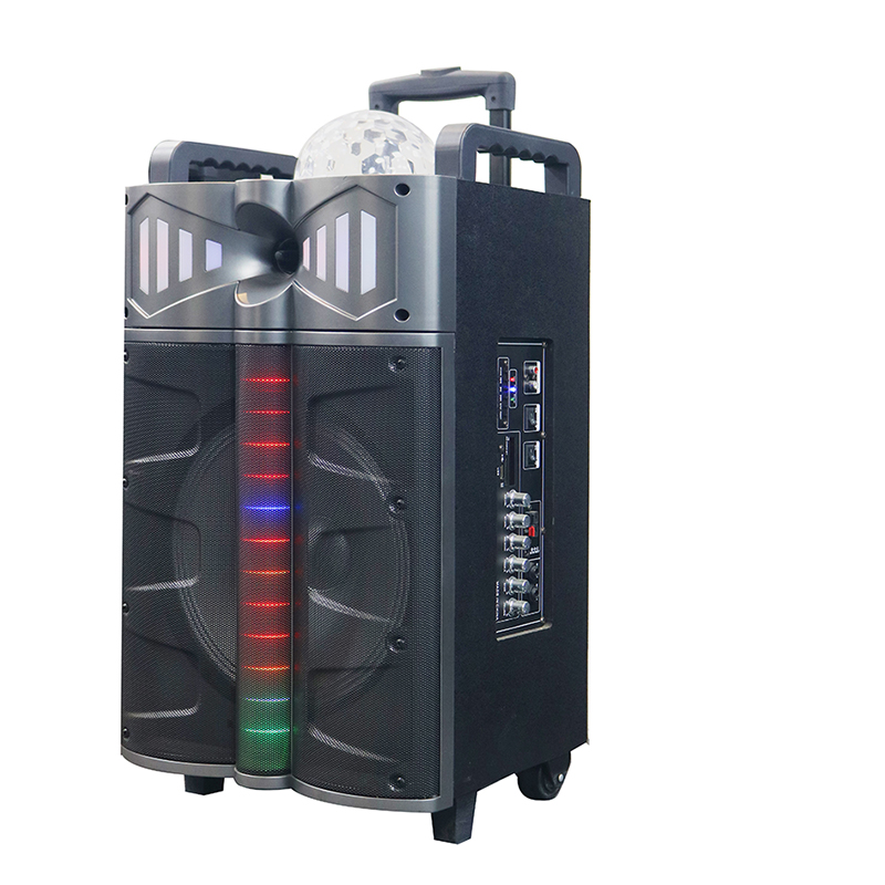 Trollry-luidspreker Y-DJ1201-12H