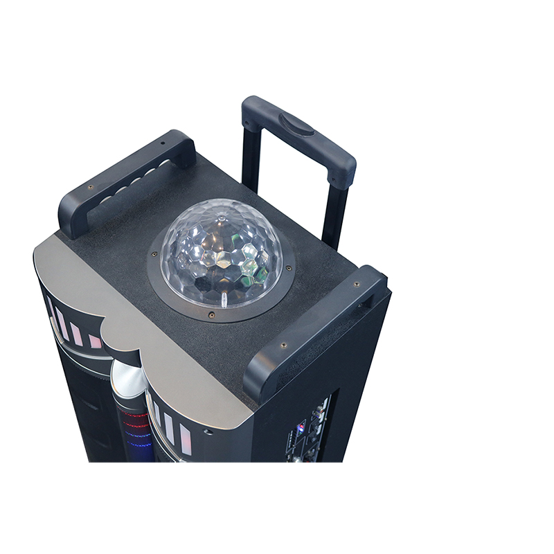 Trollry-luidspreker Y-DJ1201-12H