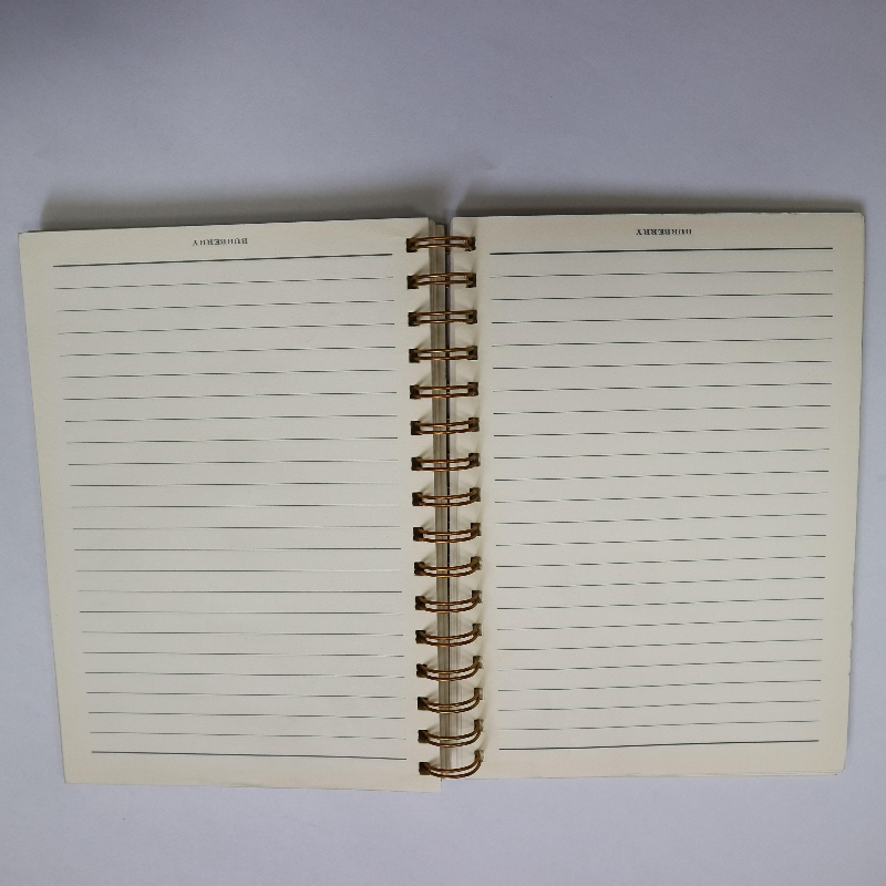 Goud stempelen spiraal bindende notebook retro-stijl