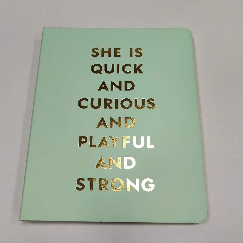 Coil bindende notebook goud stampende retro dagboek vergadering notebook