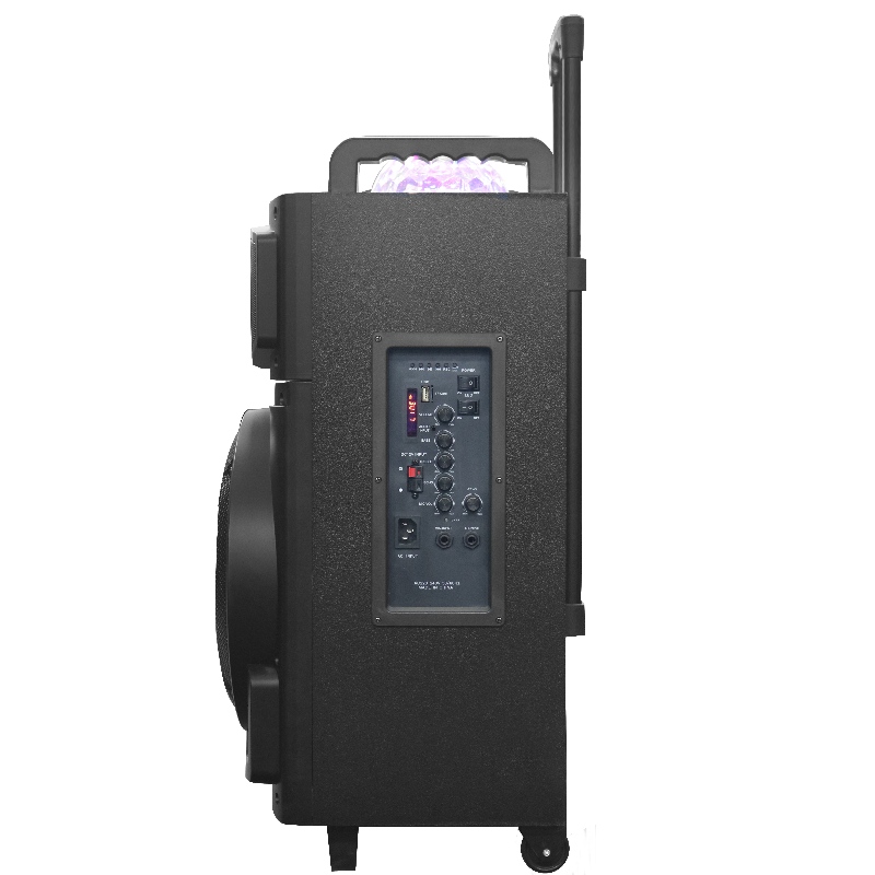 Spreker van trol Y-K8-12M2H