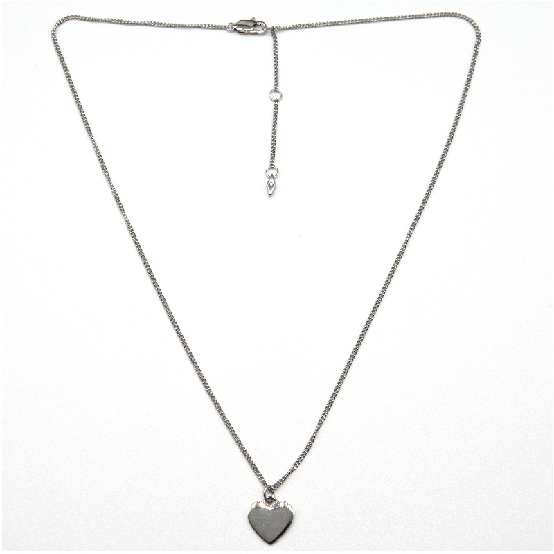Roestvrij stalen hartvormige hanger ketting rfbnck0177