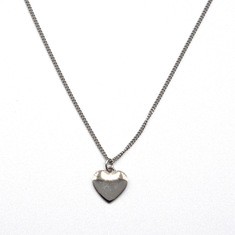 Roestvrij stalen hartvormige hanger ketting rfbnck0177