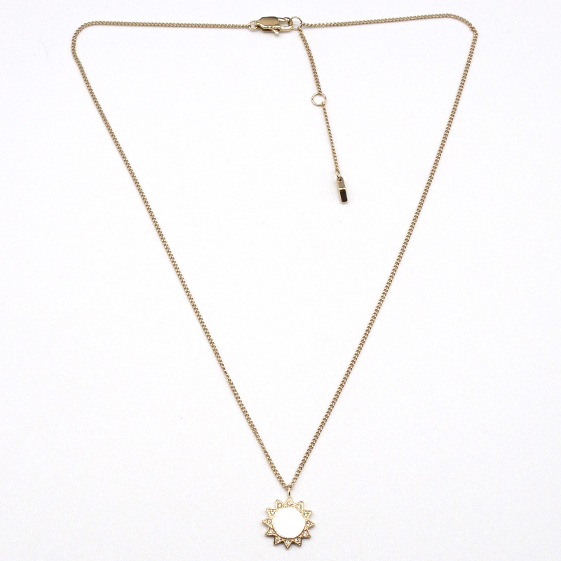 ketting van roestvrij staal met stengels rfbnck1347