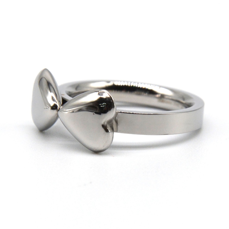 ring van roestvrij staal