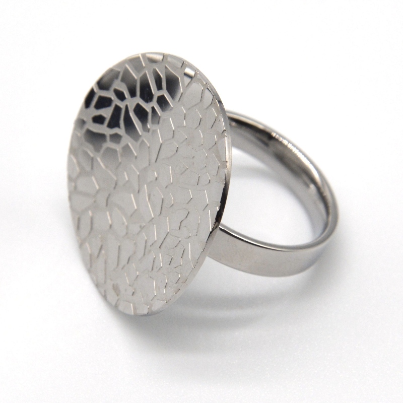 ring van roestvrij staal