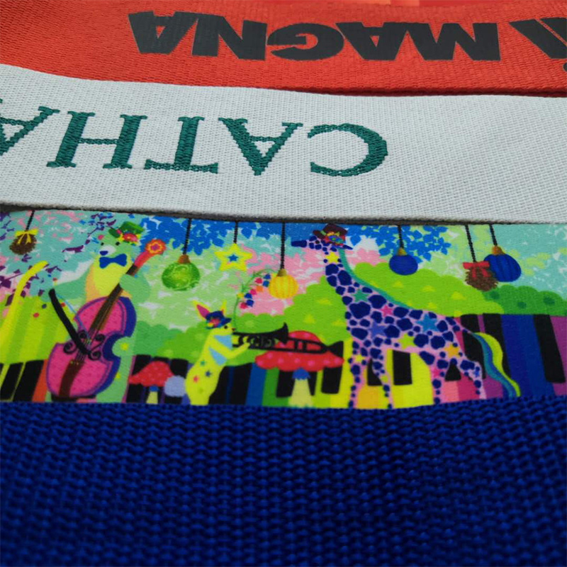 Rechtstreekse verkoop van dubbelzijdige zijden zijden band met handbagage riem voor warme overbrengingsbagage jacquard baggage riem verdikking maatwerk