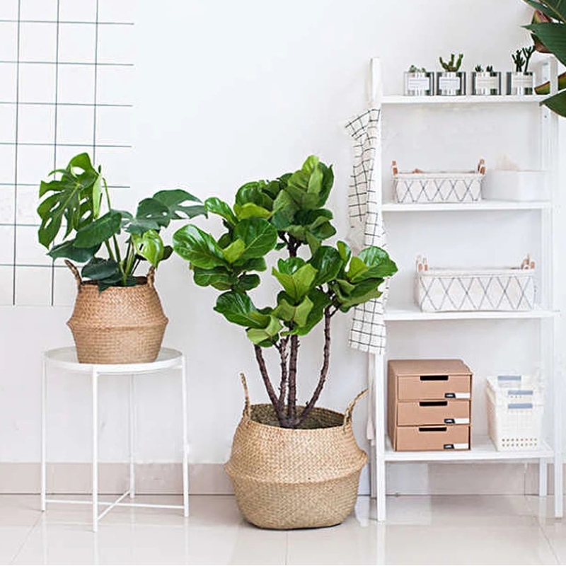 Plantenstandaard geweven zeegras buikmand voor opslag hangende zeegras mand